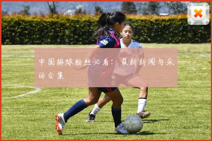 中国排球粉丝必看：最新新闻与采访合集