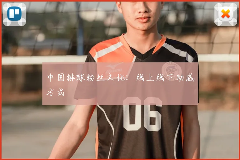 中国排球粉丝文化：线上线下助威方式