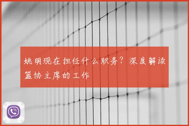 姚明现在担任什么职务？深度解读篮协主席的工作