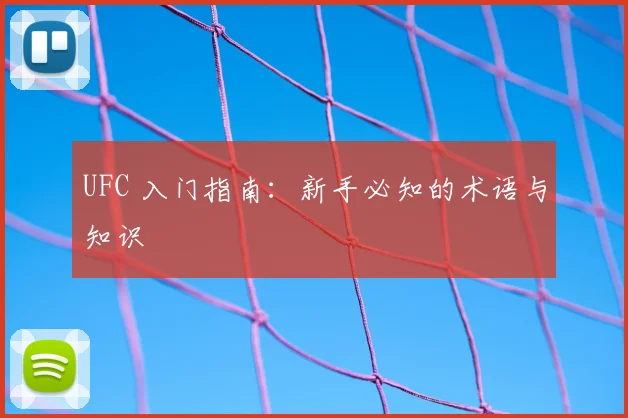 UFC 入门指南:新手必知的术语与知识