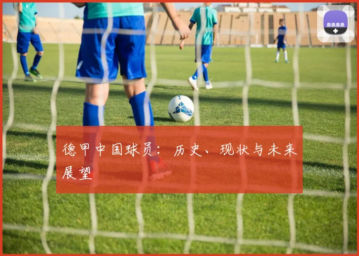 德甲中国球员：历史、现状与未来展望
