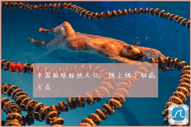中国排球粉丝文化：线上线下助威方式