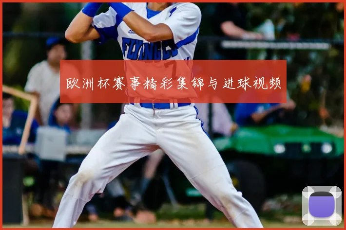 欧洲杯赛事精彩集锦与进球视频
