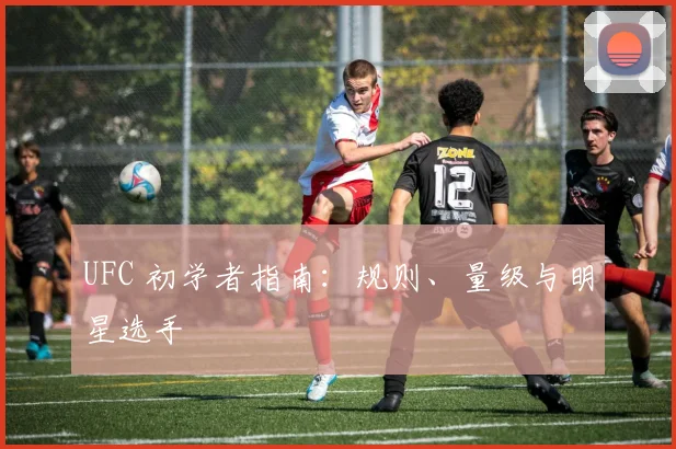 UFC 初学者指南:规则、量级与明星选手