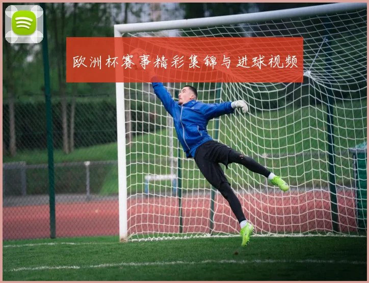 欧洲杯赛事精彩集锦与进球视频