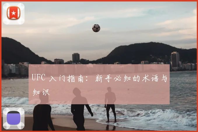 UFC 入门指南:新手必知的术语与知识