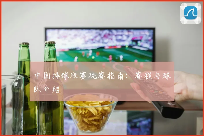中国排球联赛观赛指南：赛程与球队介绍