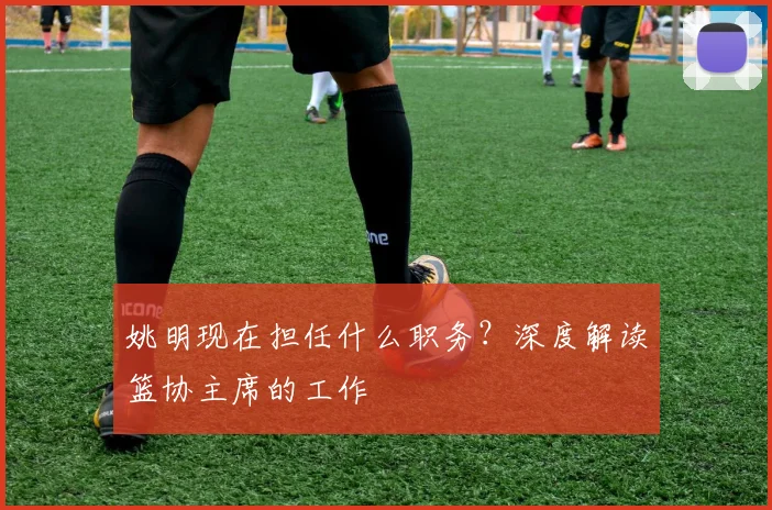 姚明现在担任什么职务？深度解读篮协主席的工作
